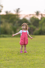 Image showing little girl spending time at backyard