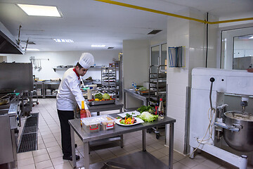 Image showing team cooks and chefs preparing meals