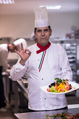 Image showing Chef showing a plate of tasty meal