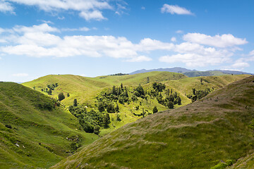 Image showing landscape Matamata