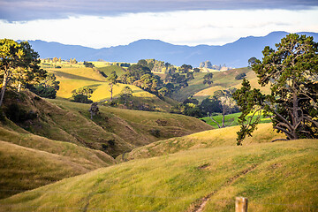 Image showing sunset landscape New Zealand north island