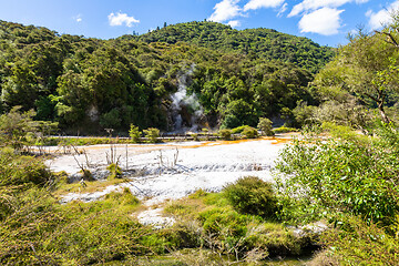 Image showing volcanic activities at waimangu