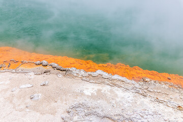 Image showing hot sparkling lake in New Zealand