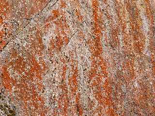 Image showing stone with red lichen