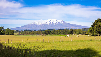 Image showing Mount Ruapehu volcano in New Zealand