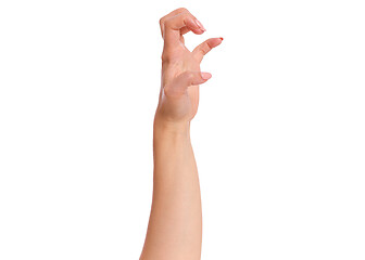 Image showing Female hand on white