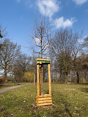 Image showing Planting trees in park