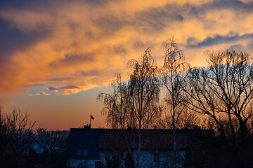 Image showing Houses and trees at sunset