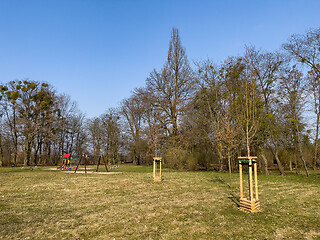 Image showing Planting trees in park