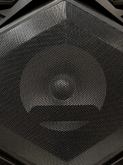 Image showing Musical speaker with protective grill
