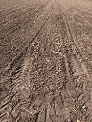 Image showing Plowed field at spring