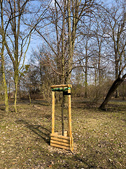 Image showing Planting trees in park