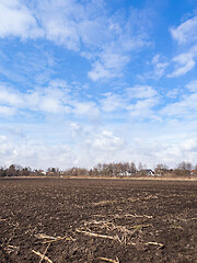 Image showing Plowed field at spring