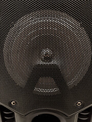 Image showing Musical speaker with protective grill