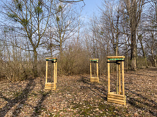 Image showing Planting trees in park