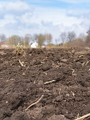 Image showing Plowed field at spring