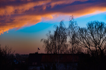 Image showing Houses and trees at sunset