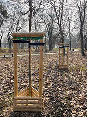 Image showing Planting trees in park