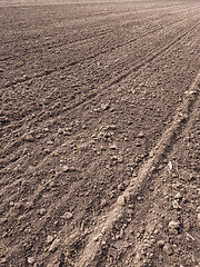 Image showing Plowed field at spring