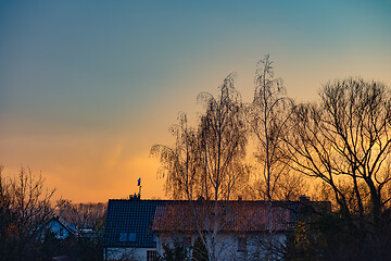 Image showing Houses and trees at sunset