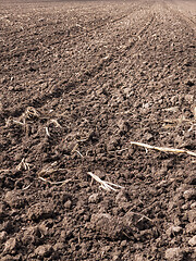 Image showing Plowed field at spring