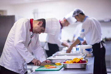 Image showing Chef cutting fresh and delicious vegetables