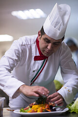 Image showing chef serving vegetable salad