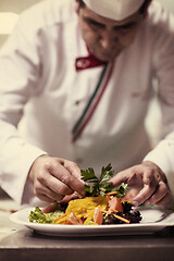 Image showing chef serving vegetable salad