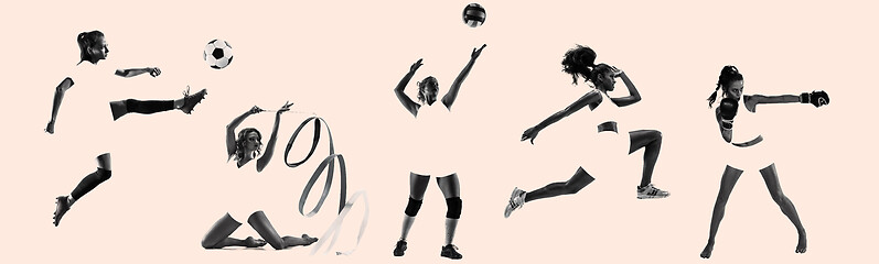 Image showing Young female sportswomen, creative collage