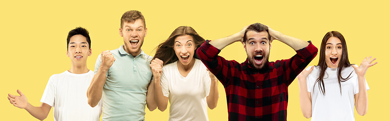 Image showing Half-length close up portrait of young people on yellow background.