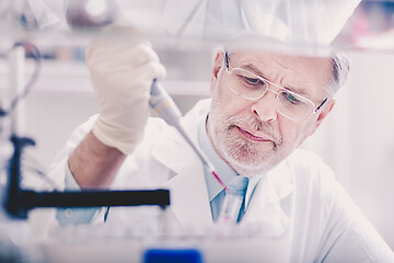 Image showing Life scientist researching in the laboratory.