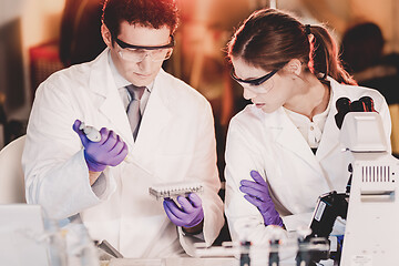 Image showing Life scientist researching in the laboratory.