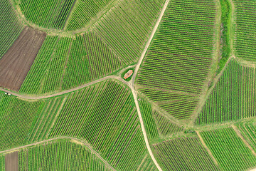 Image showing aerial view vineyard scenery at Kaiserstuhl Germany