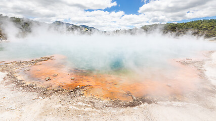 Image showing hot sparkling lake in New Zealand