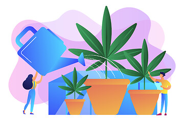 Image showing Cannabis cultivation concept vector illustration.