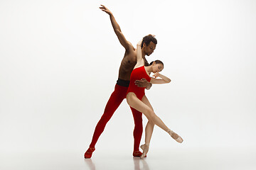 Image showing Young graceful couple of ballet dancers dancing on white studio background