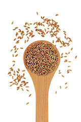 Image showing Healthy Emmer Farro Wheat Grain