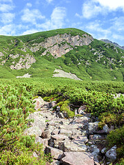 Image showing Tourist hiking trail in the Polish Tatra Mountains.