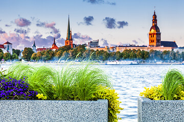 Image showing Urban flower pots with Riga old town skyline