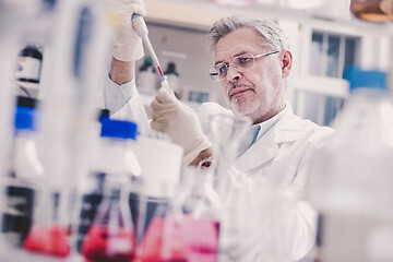 Image showing Senior male life scientist researching in the laboratory.