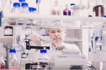 Image showing Senior male life scientist researching in the laboratory.