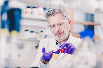 Image showing Senior male life scientist researching in the laboratory.