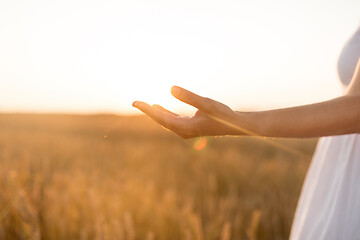 Image showing hand of young woman on cereal field