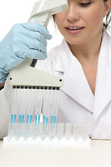 Image showing Scientist in laboratory
