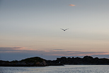 Image showing Beautiful view on norwegian fjords