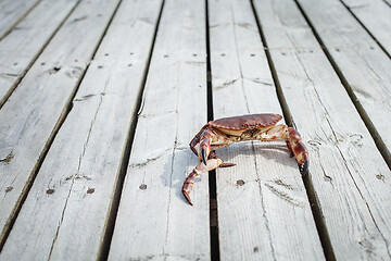 Image showing alive crab standing on wooden floor