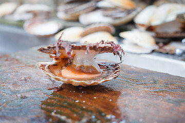 Image showing opened scallop shellop with mollusk inside