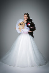 Image showing bride girl with Spitz dog wedding couple