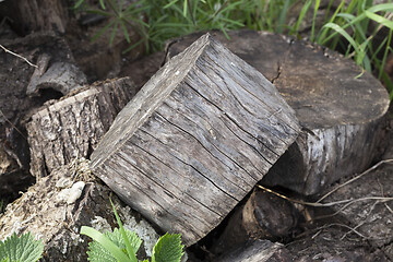 Image showing Firewood background