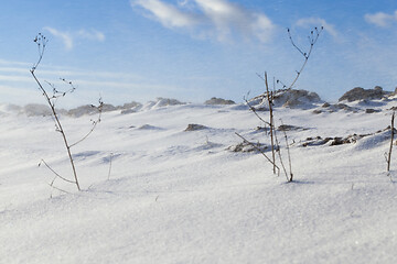 Image showing Snow drifts in winter